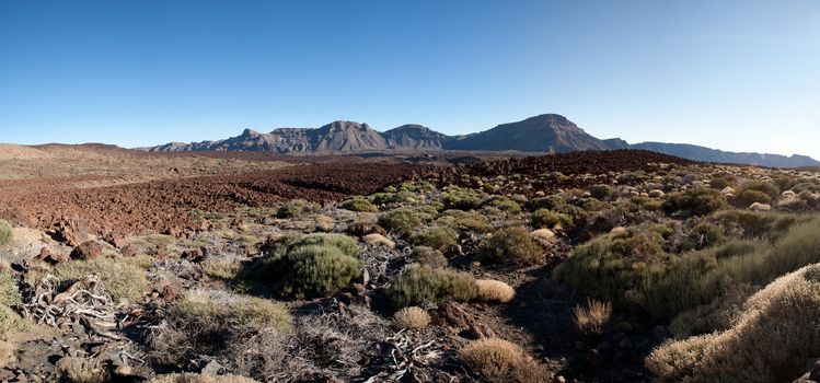 Teide in the beautiful landscape of the national park - Tenerife with the famous rock, Cinchado in the scene.