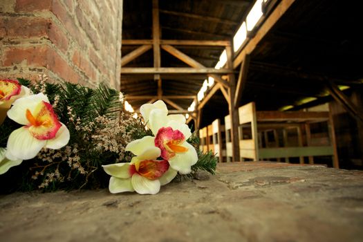 Inside wood houses in Auschwitz Birkenau concentration camp with flowers