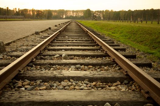 Train track arriving in Auschwitz Birkenau concentration camp