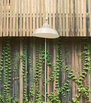 Old lamp hanging outdoor with wooden wall and ivy plant