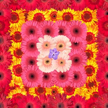 Seamless Pattern from Vibrant Gerbera Flowers, Wallpaper