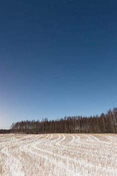 Snowy field at winter night