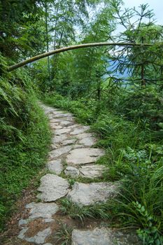 Stone path in chinese forest