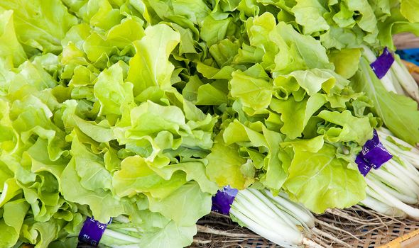Fresh green lettuce on basket