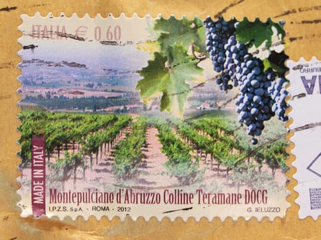 ITALY, CIRCA 2012 - stamp celebrating of the most appreciated Italian grapes, the Montepulciano D'Abruzzo Colline Teramane DOCG, released in Italy in 2012