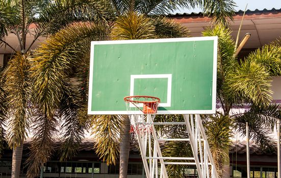 Outdoor Basketball Hoop on coconut trees background