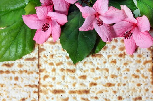spring holiday of Passover and its attributes, matzo