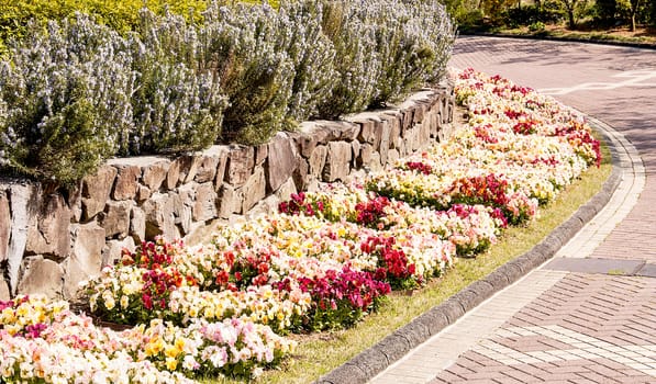 Some corners of the garden and walkways.