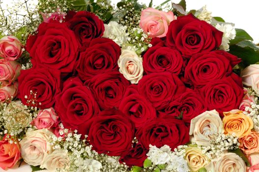 Bouquet of rose flowers isolated on white background. The roses are aranged as a heart shape.