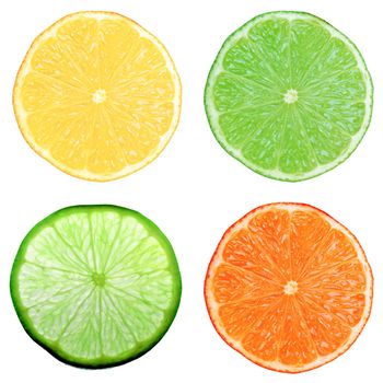 Food collage set of agrume slices including lemon lime and orange fruit