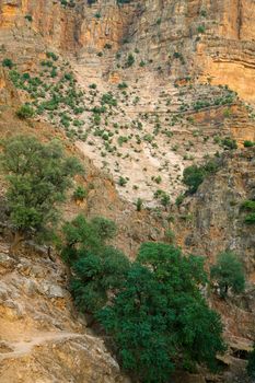 Looking into the river below the Cascades D'Ouzoud in the High Atlas Mountains.