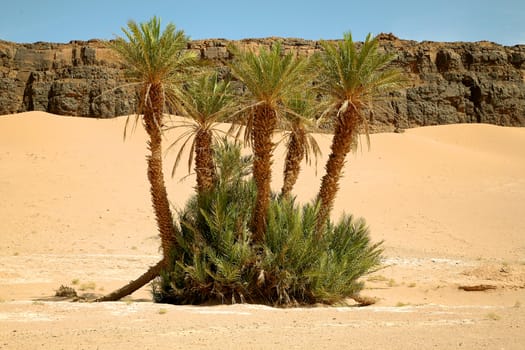 Typical moroccan lanscape in the Atlas Mountains, north of Africa