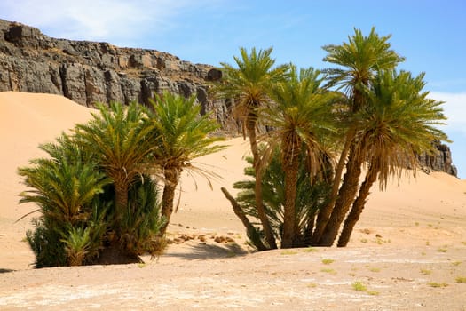 Typical moroccan lanscape in the Atlas Mountains, north of Africa