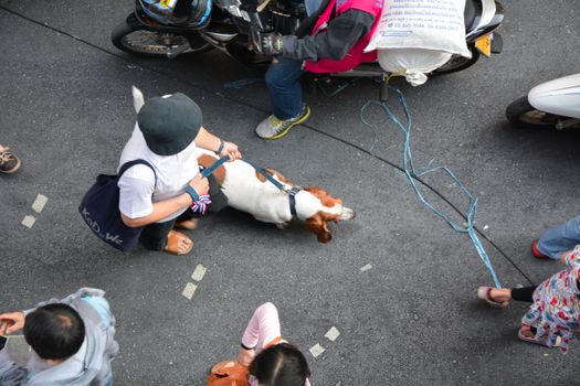 Dog with protester in Bangkok 2014