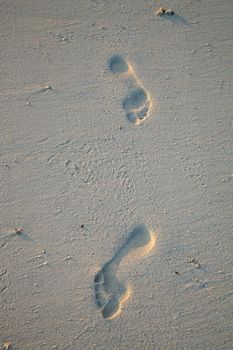 footprint on sand early in the morning on empty beach