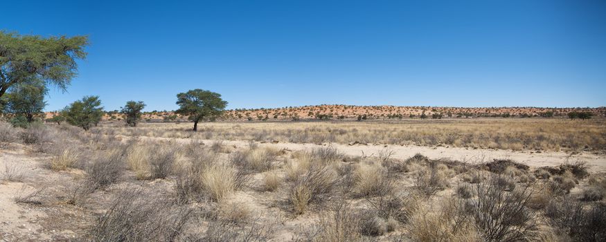 Detail of lodge in kgalagadi Transfrontier Park