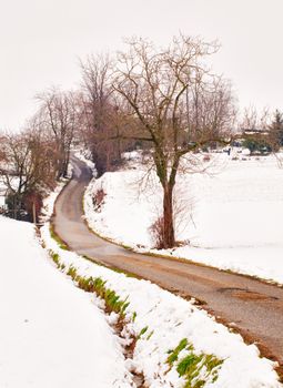 A road cutting up trough the snow, with trees on the sides