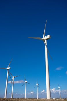 Tarifa wind mills with blue sky