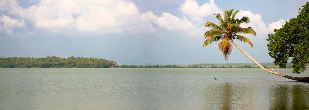 Back Waters in Kerala, India.