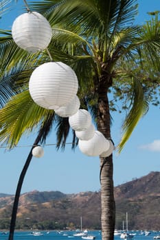 Chinese lanters in Bahia Coco in Costa Rica with a blue sky and the ocean in the background