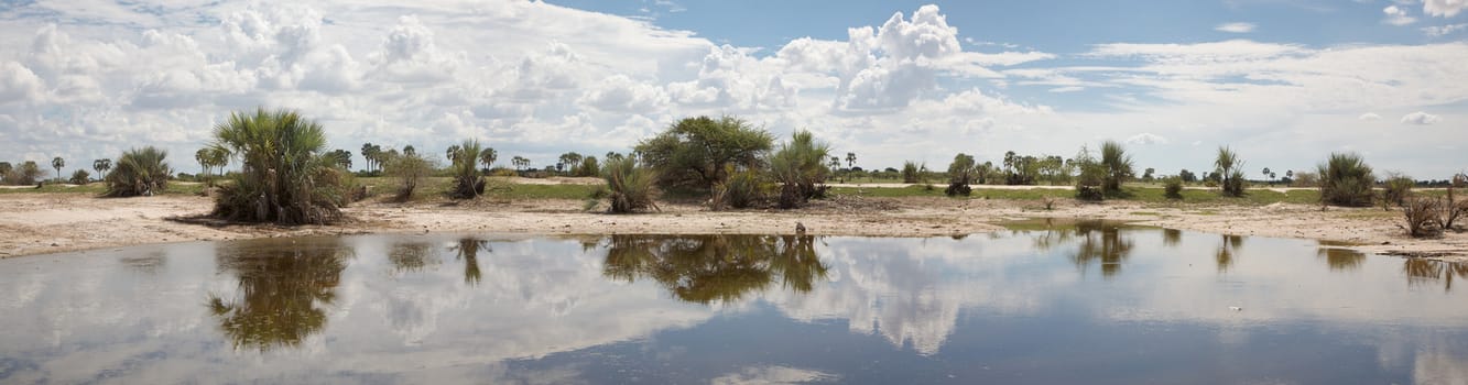 African landscape with trees reflected in water, Kaokoland, Namibia