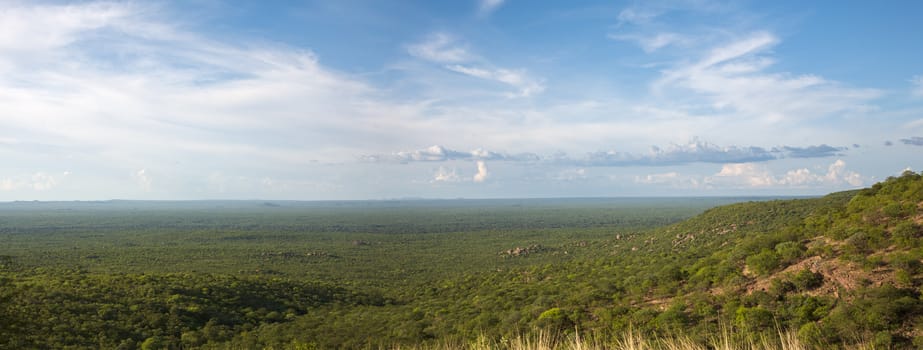 View of the forest, the horizon is Angola, the Kunene River creates the natural border between Angola and Namibia.2010