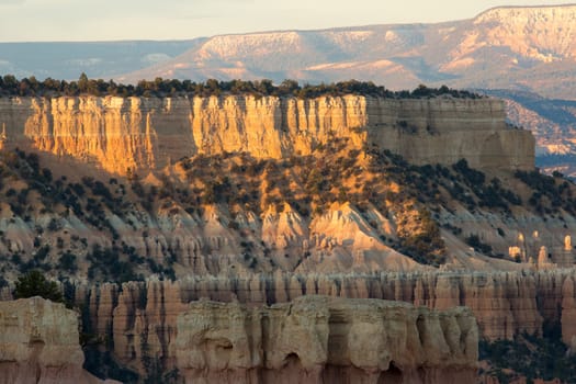 Panoramic view to one of the amphitheatres of Bryce Canyon late afternoon