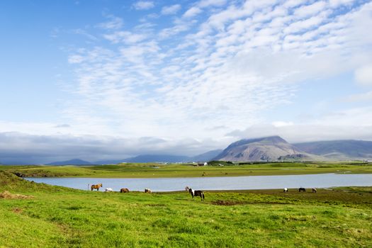 Beautiful lake against mountain background, Iceland, good summer weather