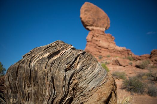 Balanced Rock and dead tree in the foreground, Arches National Park, Utah