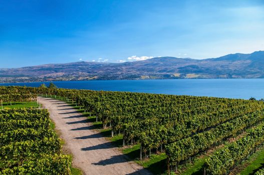 View from Mission Hill Winery of Lake Okanagan and the mountians