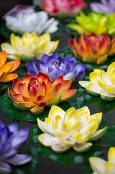 Lotus-flowers in a pond in Lhasa in China