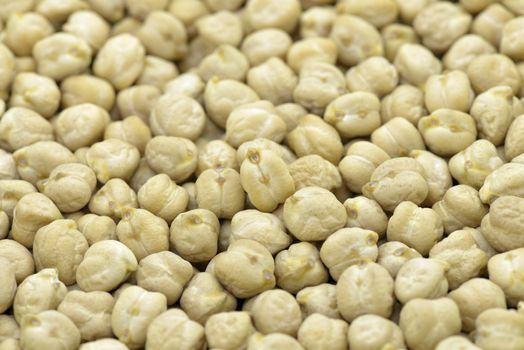 chickpeas freshly harvested on background