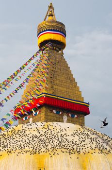 Boudhanath Stupa, one of the main landmark in Kathmandu surrounded by birds early in the morning, Nepal