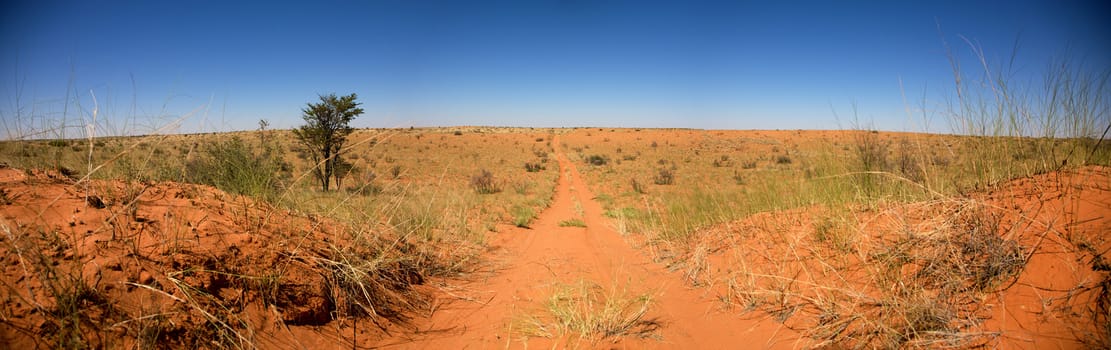 Road going towards a sunset over the Kalahari desert