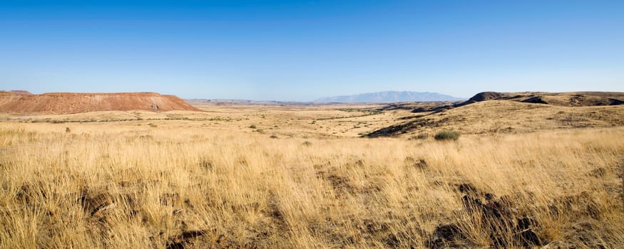 Desert view of the Brandberg National Park, Namibia.