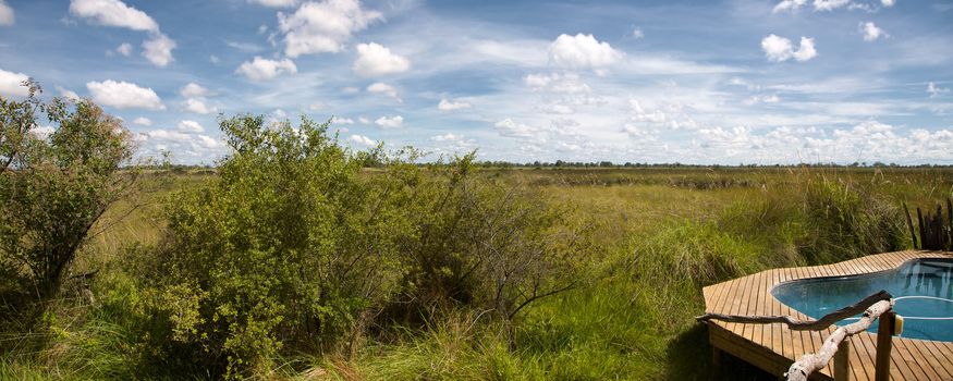 Panoramic view of swimming pool in the bush in the Delta of Okavango, Botswana.