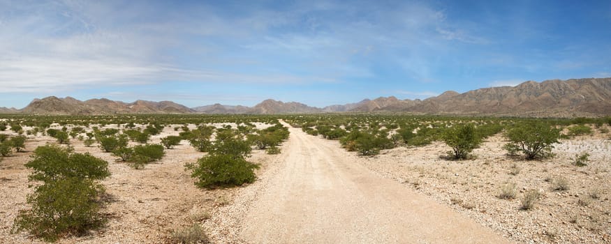 Surreal panorama of the Kaokoland desert in Namibia.