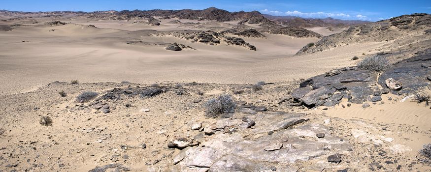 The white sand desert in the Skeleton Coast, Namibia.