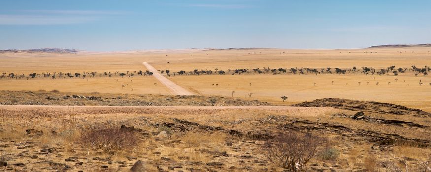 Surreal panorama of the Namib desert going towards Solitaire and Sossusvlei, Namibia.
