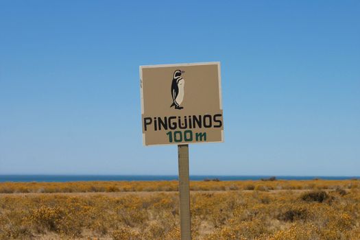 Wildlife warning in Argentina. Caution, penguins crossing in Patagonia, The Valdes Peninsula.