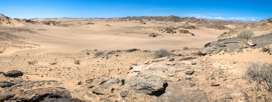 The white sand desert in the Skeleton Coast, Namibia.