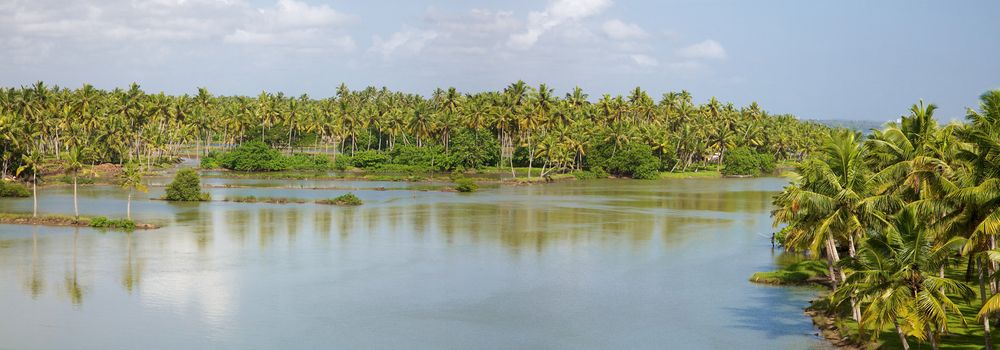 Canals in the  Back Waters in Kerala, India.