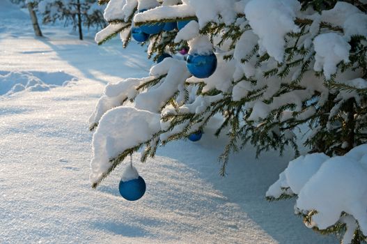 Snow-covered fir-tree with New Year's balls in the sunny winter afternoon.