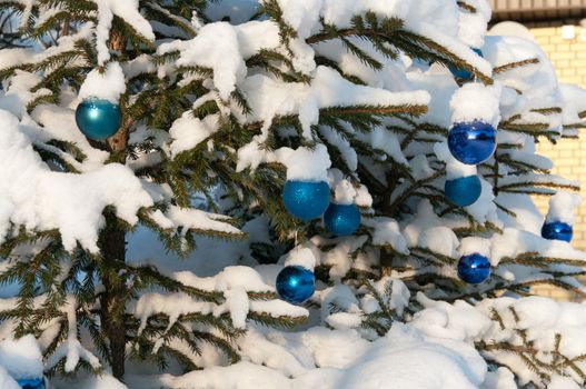 Snow-covered fir-tree with New Year's balls in the sunny winter afternoon.