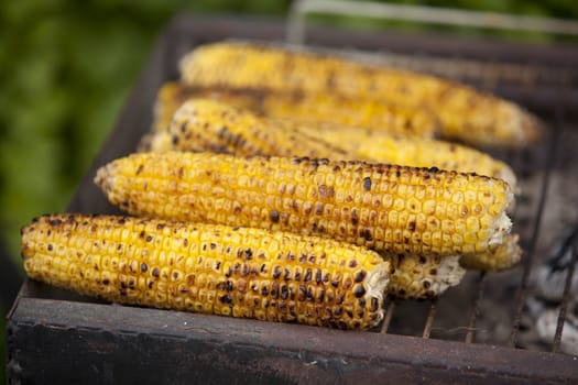 Grilled corn