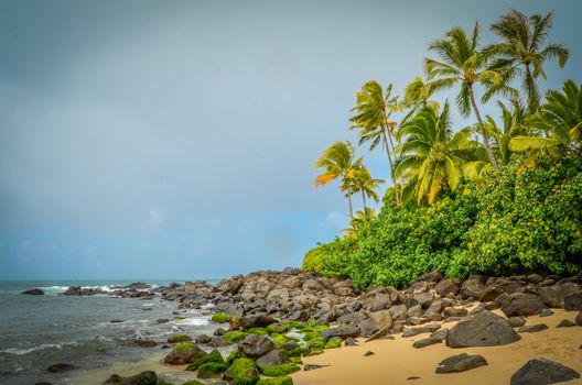 Wild Windswept Deserted Tropical Beach, North Shore, Oahu Hawaii