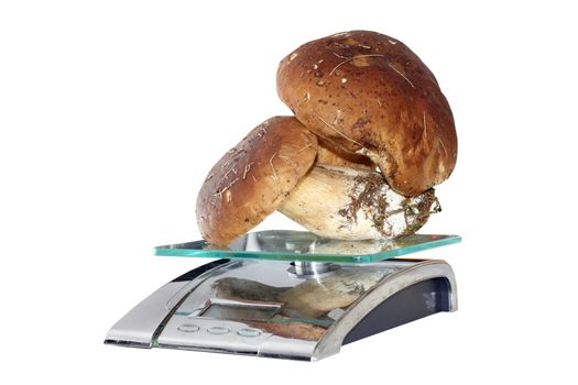 fresh mushrooms ( porcini, boletus edulis ) on weighing machine over white background