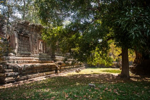 Ta Prohm temple ruines in Angkor, Cambodia