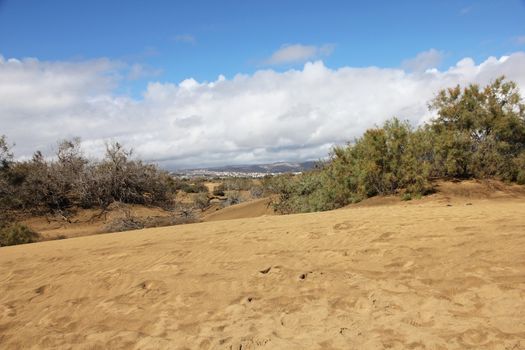 Spain. Canary Islands. Gran Canaria island. Dunes of Maspalomas