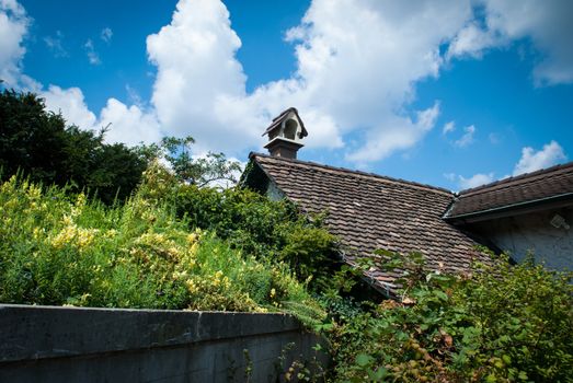 Grass on a roof of a house in Zurich, Switzerland